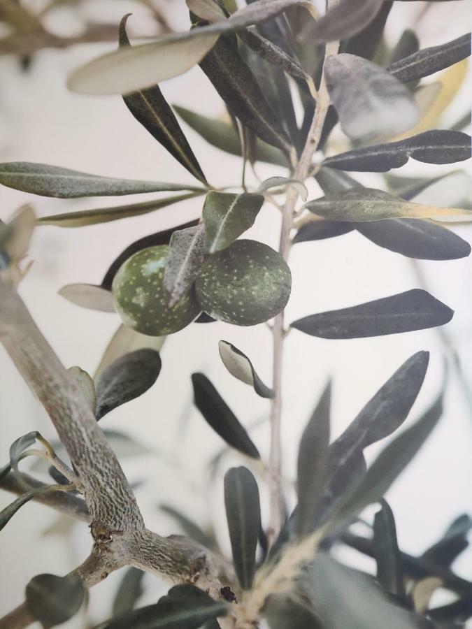 Greca Mare-Traditional Greek Boutique Apt. Psakoudia Ngoại thất bức ảnh